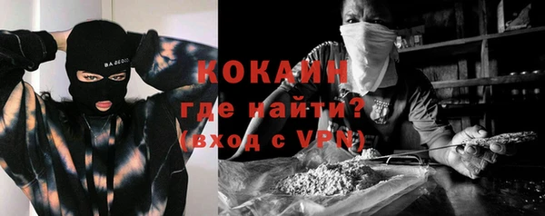 молекула духа Арсеньев