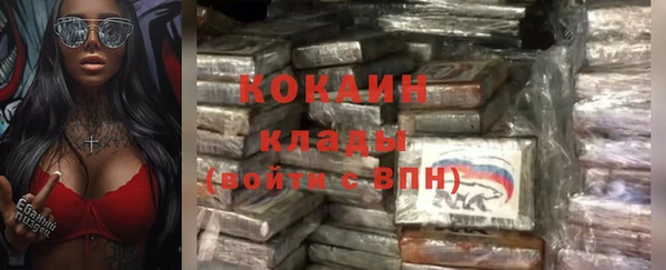 молекула духа Арсеньев