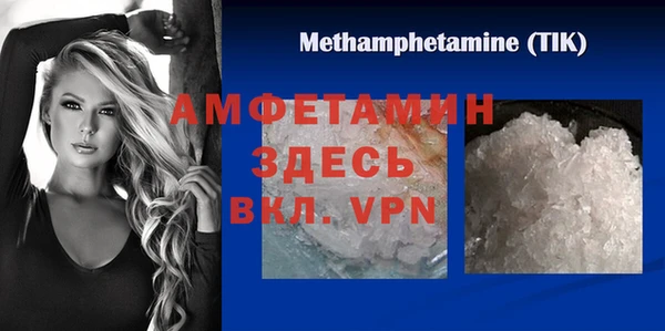 молекула духа Арсеньев