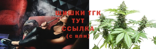 молекула духа Арсеньев