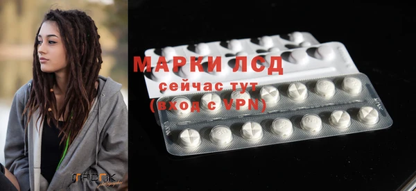 молекула духа Арсеньев