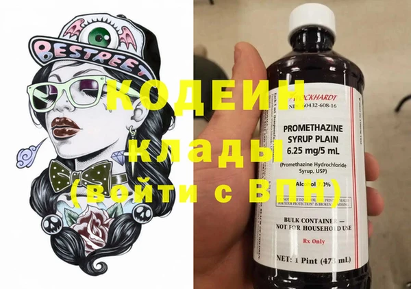 молекула духа Арсеньев