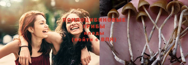 молекула духа Протвино